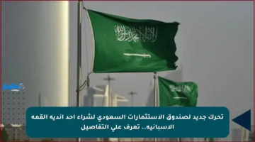 تحرك جديد لصندوق الاستثمارات السعودي لشراء أحد أندية القمة الإسبانية.. تعرف على التفاصيل